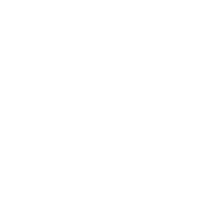 Mitsubishi_wh
