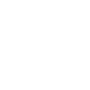 Maxus-300x300 Maxus-300x300